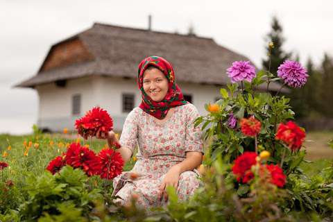 Ukrainian Cultural Heritage Village